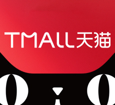 战略营销策划